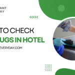 How to check for bed bugs in hotel