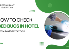 How to check for bed bugs in hotel